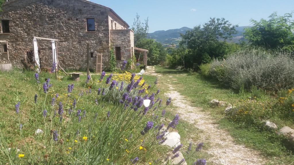 Sasso Erminia R&B Ecosostenibile Novafeltria Exterior foto